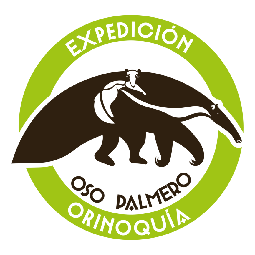 Expedicion Oso Palmero